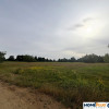 Działka usł. turystyki 250 m od Bugu-Arciechów