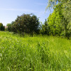 Mieszkanie Pastuchów