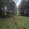Działka Ożarowice