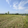 Działka Wilków
