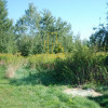 Wrocław, Radomierzyce, działka 777 m2