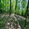 Działka Janowice