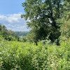 Działka Janowice