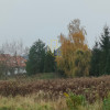 Domasław, Bielany, działka budowlana 1550 m2