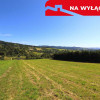 Działka z WZ | 5291 m2 | widok na Pieniny