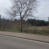 Działka Wiązowna