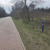 Działka Wiązowna