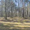 Działka Duchnów