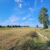 Działka Pałecznica ul.  