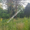 ⭐⭐⭐⭐  Blisko WKD  na dom 2 lokal Media 1600m2 ⭐⭐⭐⭐