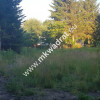 ⭐⭐⭐⭐  Blisko WKD  na dom 2 lokal Media 1600m2 ⭐⭐⭐⭐