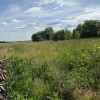 Dom Rogów Górowski