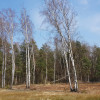 Działka Malcanów ul. Podleśna