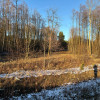 Działka Michałówek