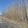 Działka Duchnów
