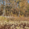 Działka Duchnów