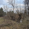 Działka Boryszew