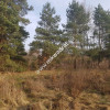 ⭐⭐⭐⭐2500 m2 urokliwa działka przy lesie z MPZP⭐⭐⭐⭐