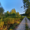 Działka Wiązowna