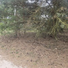 Działka Stefanówka