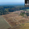 5749 m² w sercu Borów – inwestycja w naturę