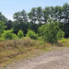 Działka Żółwin