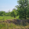 Działka Żółwin