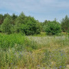 Działka Żółwin