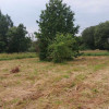 Działka Trzebyczka