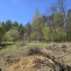 Dom Preczów