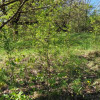 Działka Sosnowiec Zagórze