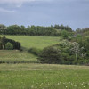 Działka Myszkowice