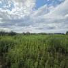 Działka Duchnów ul. Ustronna
