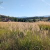 Działka Sieraków