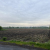 Działka Kalisz