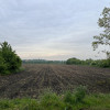 Działka Kalisz