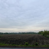 Działka Kalisz