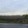 Działka Kalisz