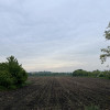 Działka Kalisz