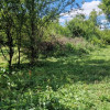 Działka Rokitno Szlacheckie