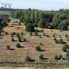 Działka Gniezno ul.  
