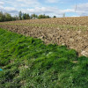 Działka Pogwizdów