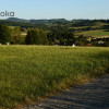 Działka Puńców