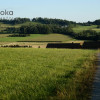 Działka Puńców
