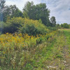 Działka budowlana 2100 m² z potencjałem – Jaszczurowa, gm. Mucharz