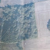 Działka Dziuplina