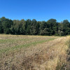 Działka Tarnowskie Góry Rybna