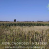 Działka Kamionka