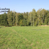 Działka Golkowice