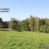 Działka Golkowice